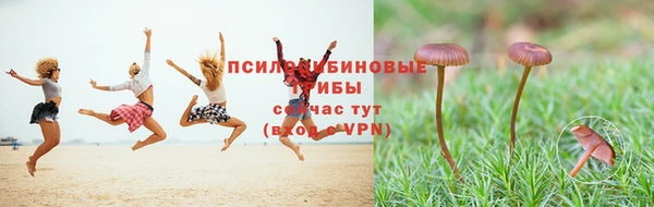 spice Абаза