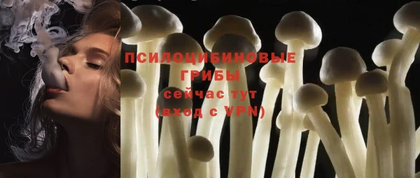 ПСИЛОЦИБИНОВЫЕ ГРИБЫ Абинск