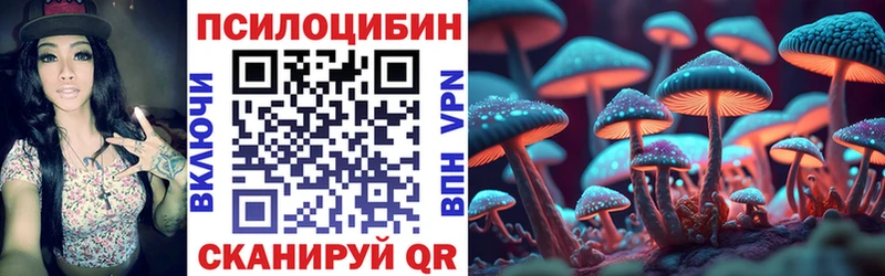 OMG маркетплейс  площадка наркотические препараты  Псилоцибиновые грибы Cubensis  Кизляр 