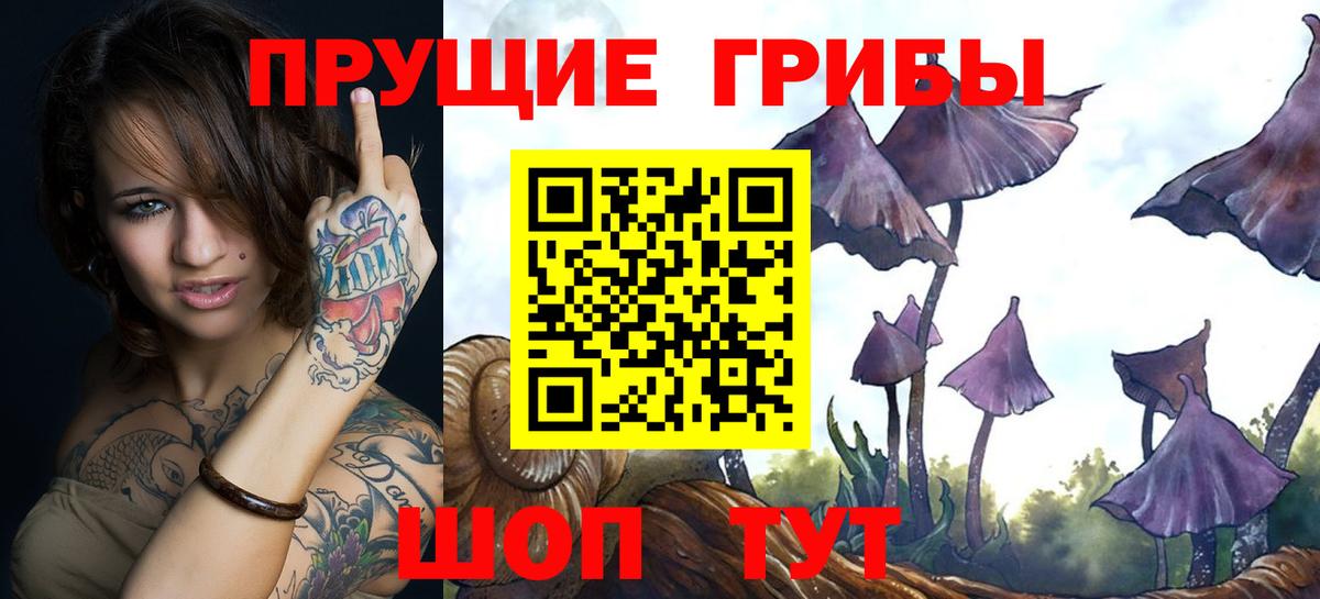 Псилоцибиновые грибы мухоморы  Вход с VPN  Кизляр 