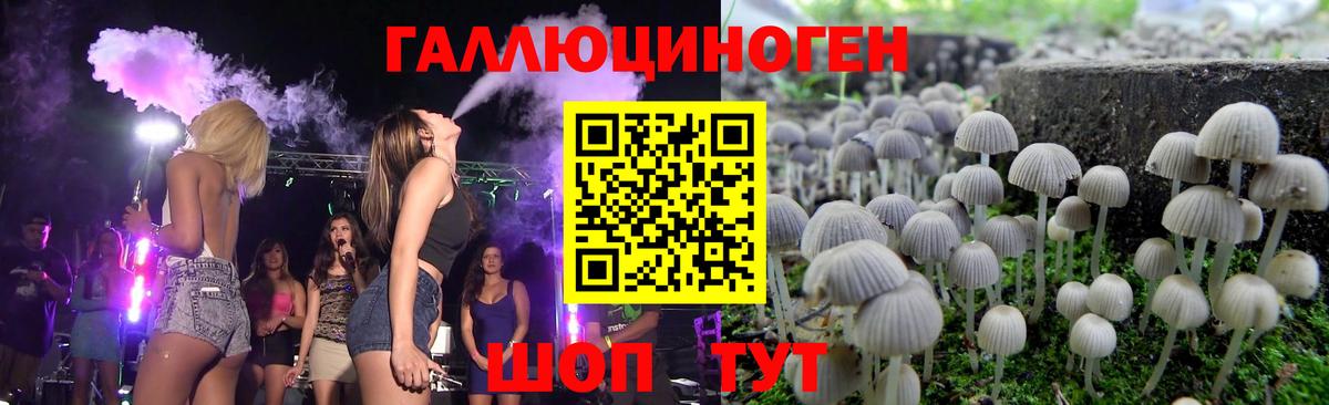 Псилоцибиновые грибы GOLDEN TEACHER Кизляр