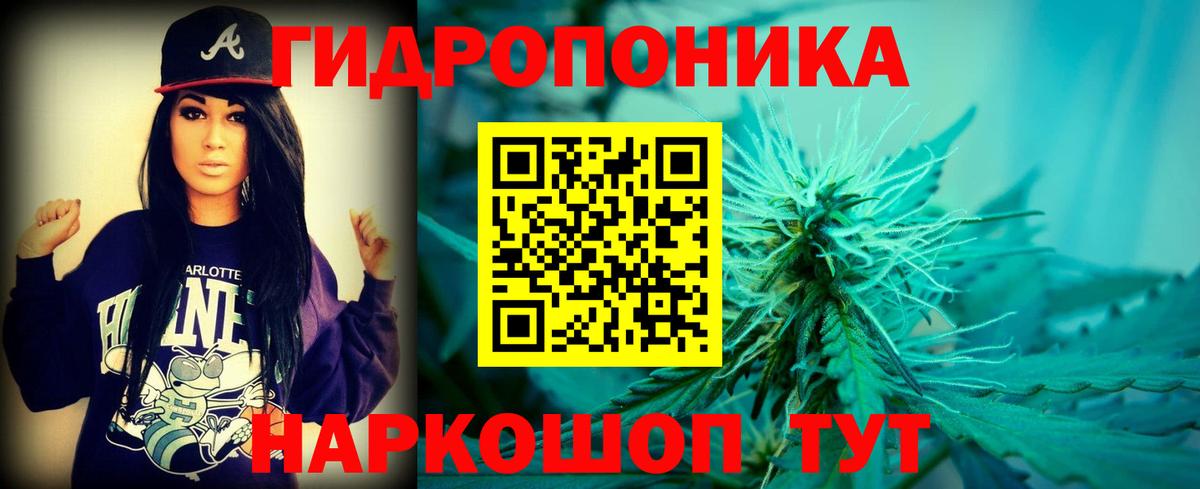 Кизляр  Канабис семена  Вход с VPN  Конопля семена 